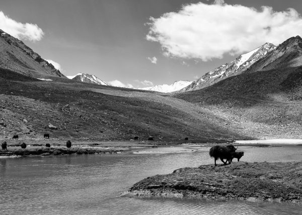 Ladakh region of India