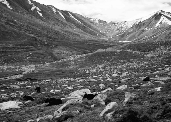 Ladakh region of India