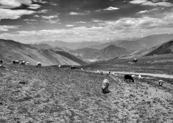 Ladakh region of India