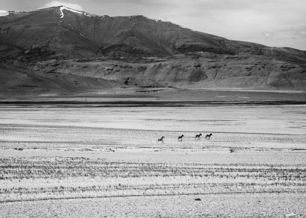 Ladakh region of India